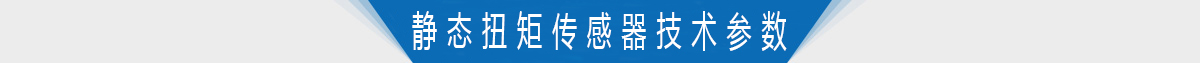 軸式靜態(tài)扭矩傳感器技術參數(shù)