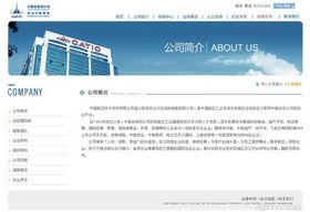 深圳企業網站建設 從品牌形象到電商店鋪的全面指南