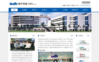 深圳翰宇藥業(yè)股份有限公司網(wǎng)站建設(shè) 企業(yè)數(shù)字化轉(zhuǎn)型的關(guān)鍵一步